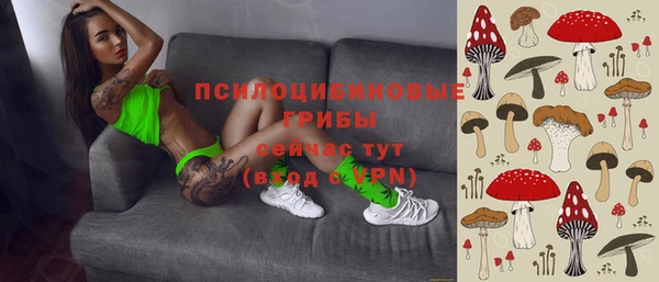 твердый Верея