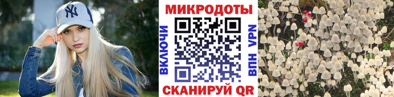 Галлюциногенные грибы Psilocybine cubensis Воткинск